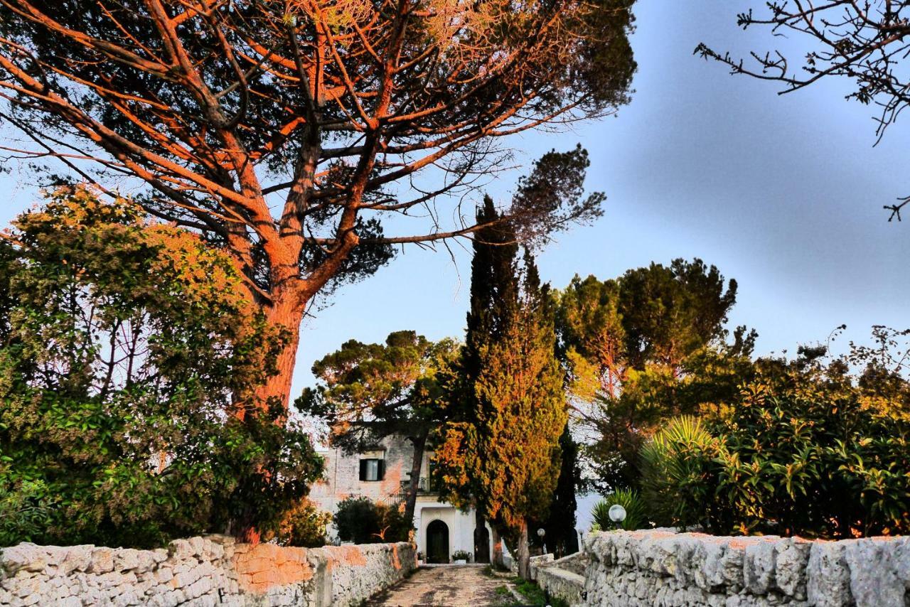 Holiday home Masseria Serafino Open Space Aladino *